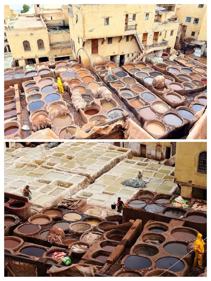 白色缸是清洗毛皮，五顏六色染色缸，好像放大版彩妝盒。