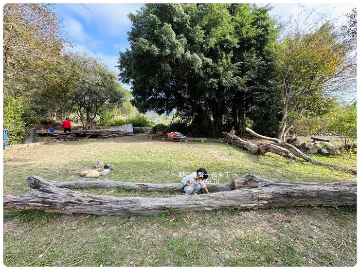 在農村長大的孩子愈來愈少了。