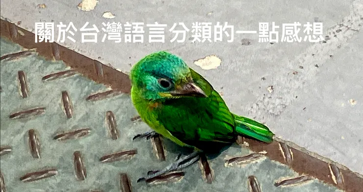 【附圖：此鳥長相接近「花褂鳥」、「台灣擬啄木鳥」(學名 Psilopogon nuchalis) 或「五色鳥」。據說牠的鳴叫聲聽起來像是「嘓嘓嘓……」的發音，或許也能稱爲「台灣嘓鳥」/ 筆者攝於公元 2024 年 7 月 23 日下午 02:04 。】