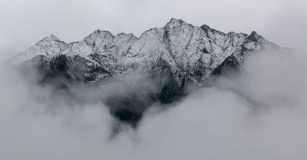 Tata's write and life