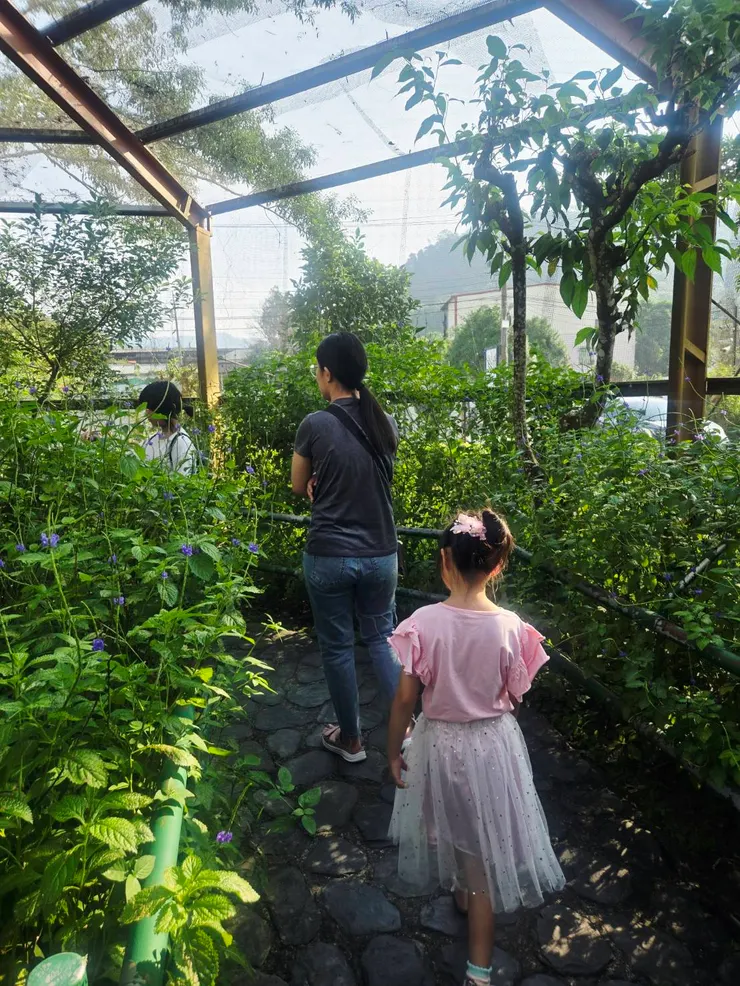 很想求助全家英文最好的妹妹