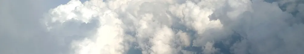 克魯小子的沙龍