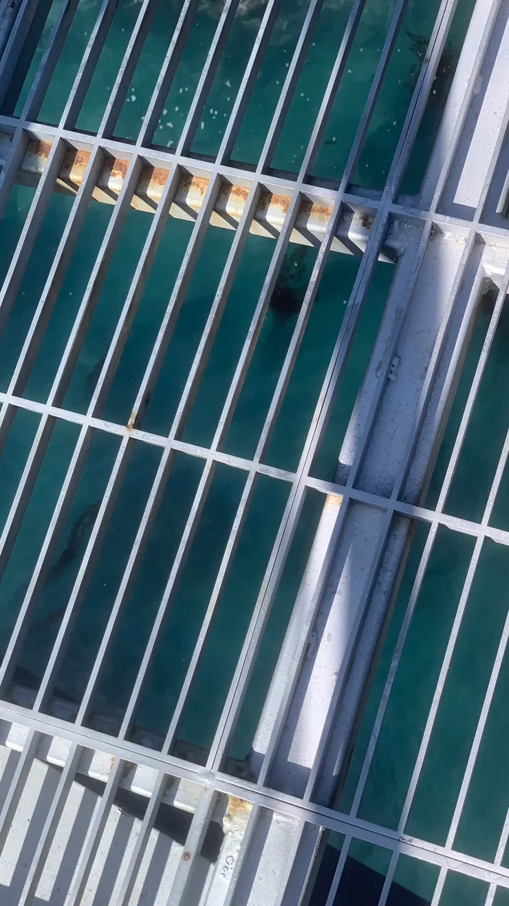 水溝蓋是最考驗膽量的。