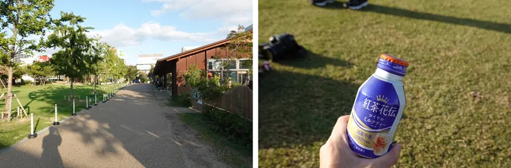 人沒有很多的公園，右圖是販賣機很常見的紅茶花伝。