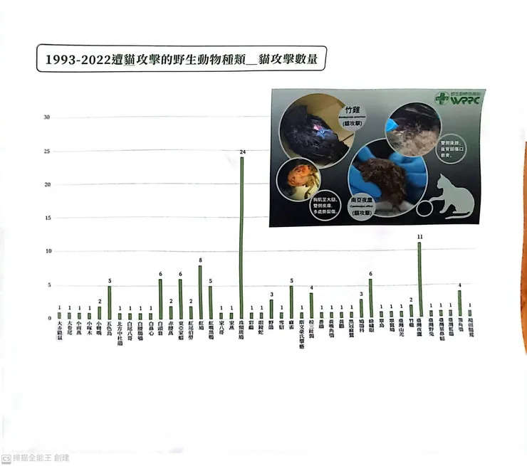 （圖二）1993~2022年 特生中心＿野生動物急救站 救傷原因資料統計（貓攻擊數量長條圖）