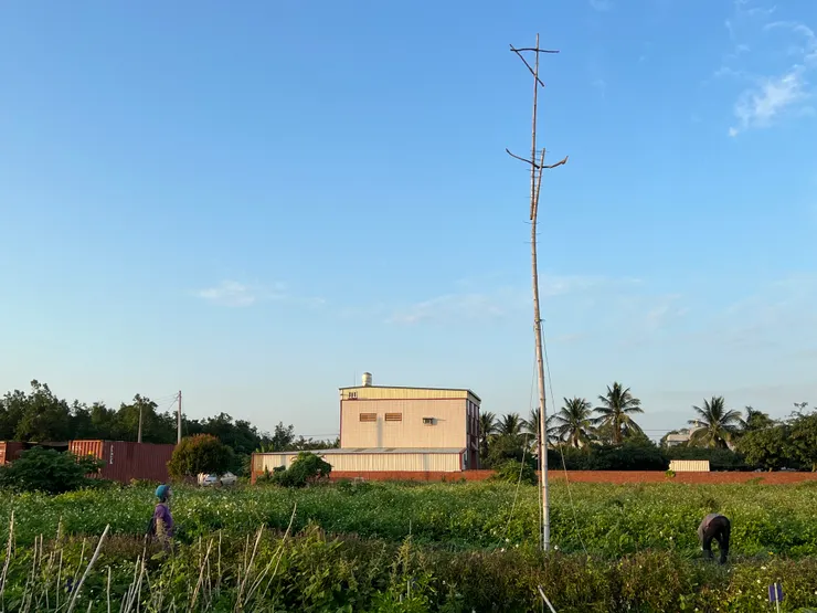 我在順月農園幫忙時，抬頭看著維修後再次立起的棲架，我感覺棲架已經成為農友們乃至食品供應鏈中的一種精神象徵（順月農園提供）