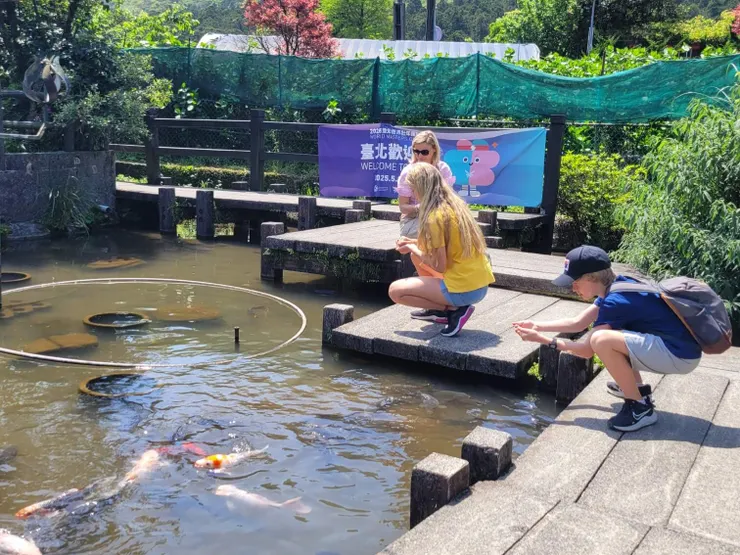 專門騙我們這些外來者😂