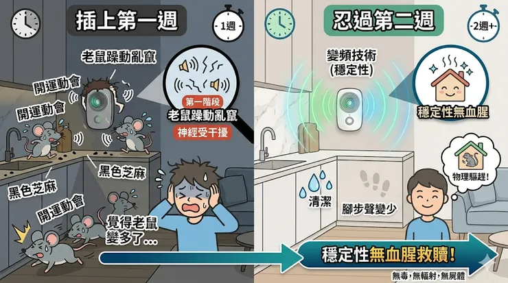驅鼠器推薦