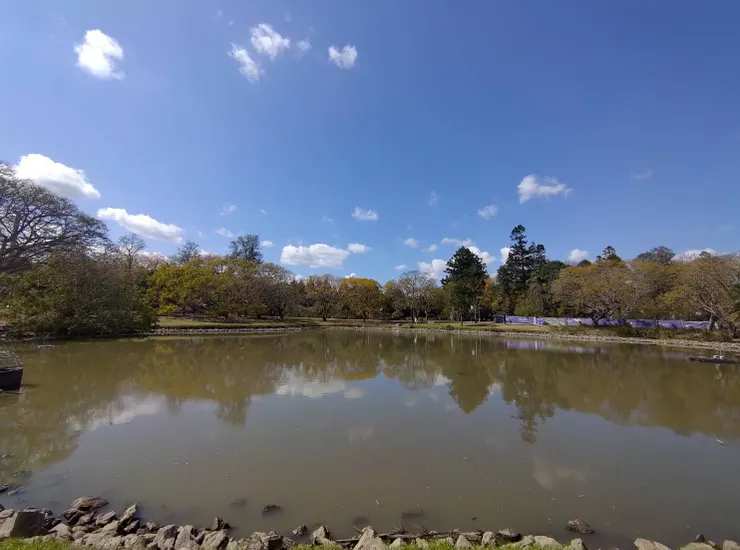 UQ校園好大好漂亮，可是心裡想著作業跟成績卻開心不起來。