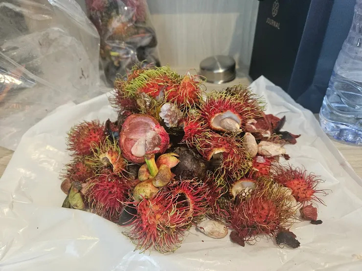 雖然拍廚餘很好笑,但是到東南亞,就是山竹跟紅毛丹吃爆