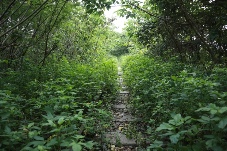 歡迎來到「舊山線綠茵鐵道」