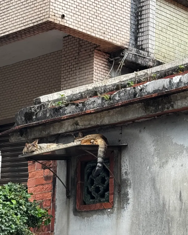 拍攝於2025年5月2日，宜蘭 頭城老街