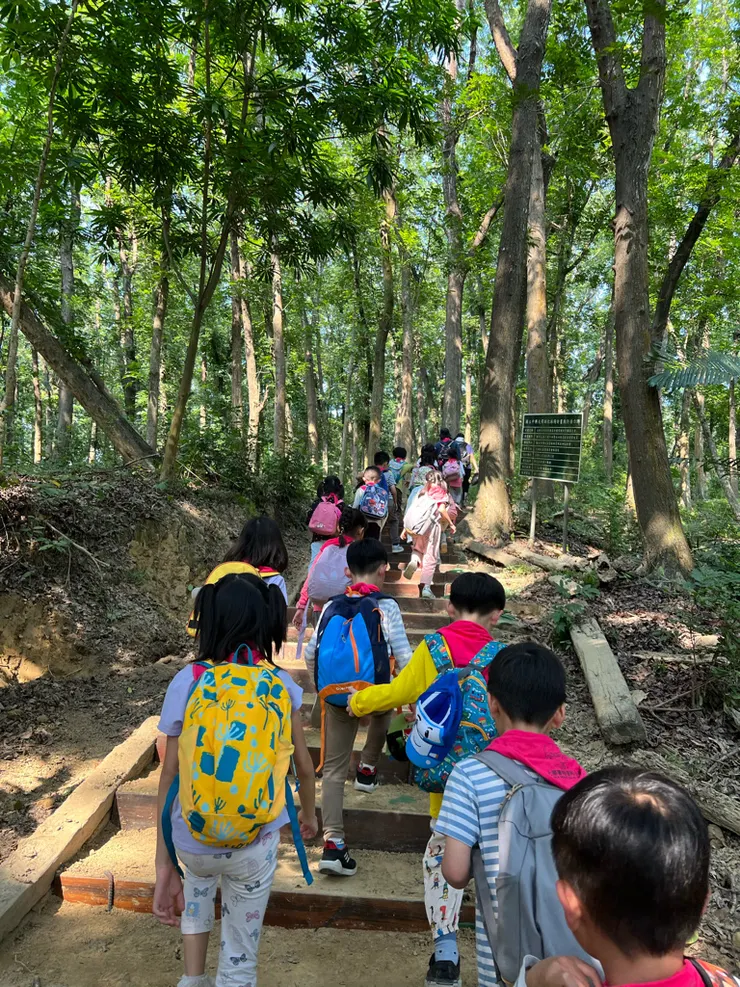 上華蒙特梭利實驗教育機構——培養藝術、音樂、語言與戲劇的創新學校 台南實驗小學