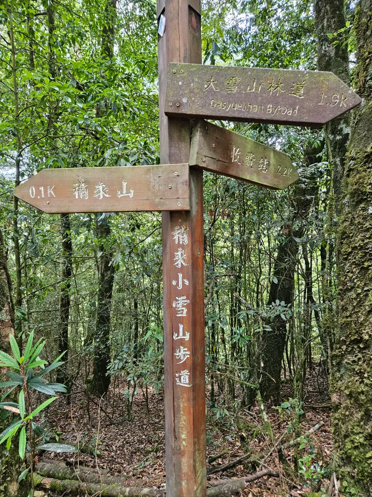 下次也來走訪捎來小雪山步道吧!