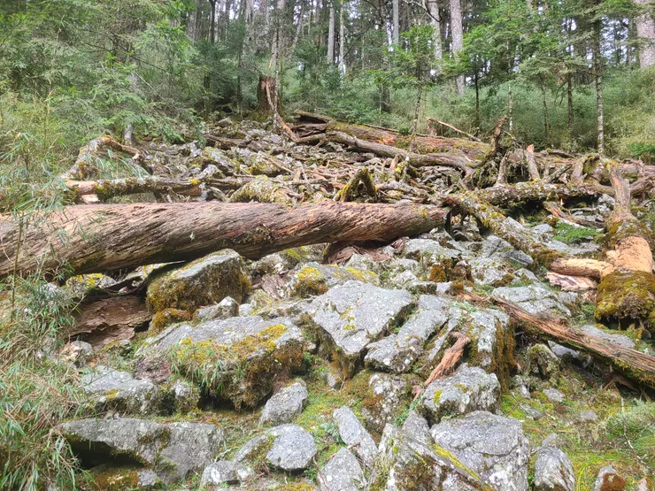 石瀑區，這邊要開始注意。再走一段後要向左(北方)切上稜線，也是不好走