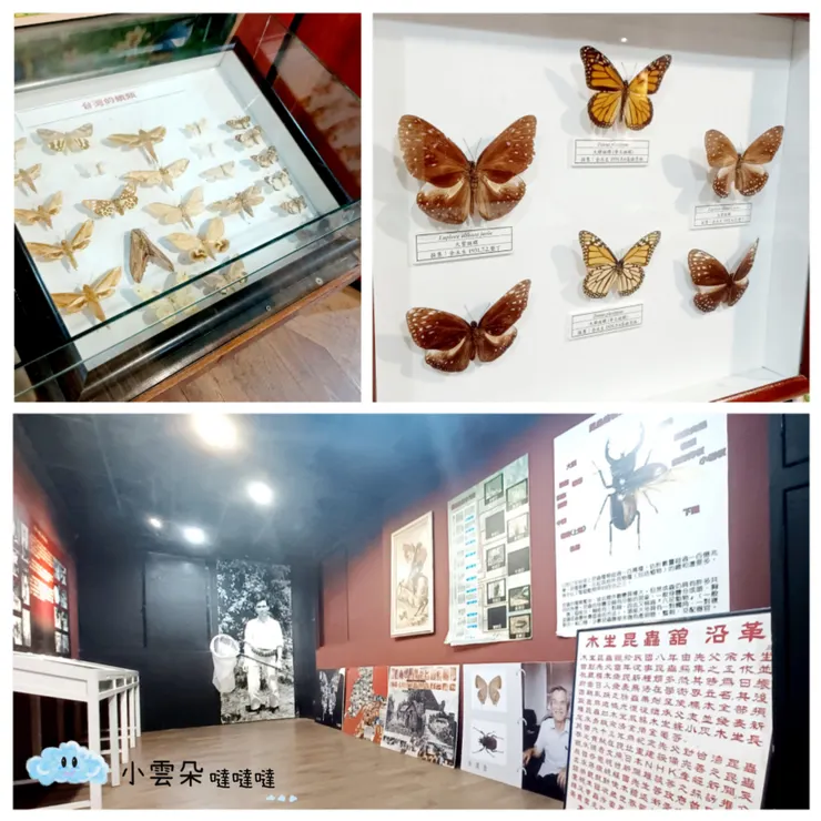 裡頭也有介紹木生昆蟲博物館的沿革