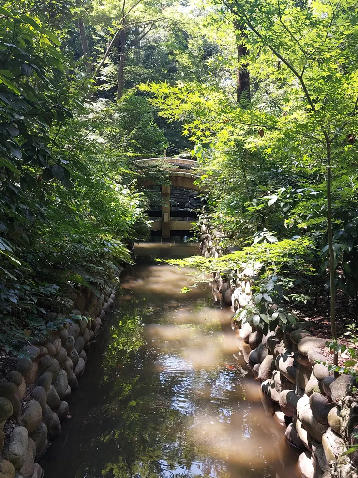 神宮旁邊小路的小溪，十分漂亮