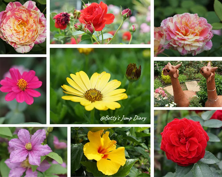 ▲桃園楊梅「雅聞魅力博覽館」/圖片來源:Betty's Jump Diary