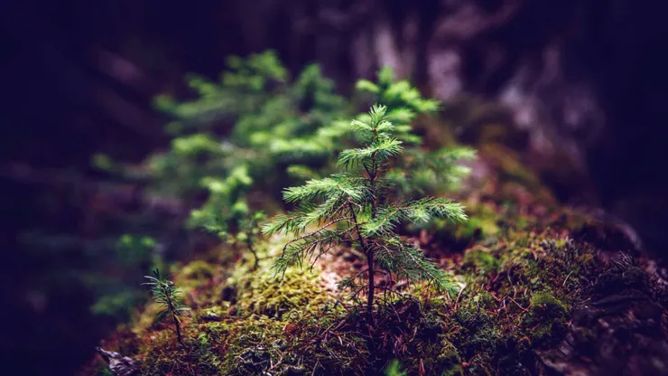 Photo by Matthew Smith on Unsplash