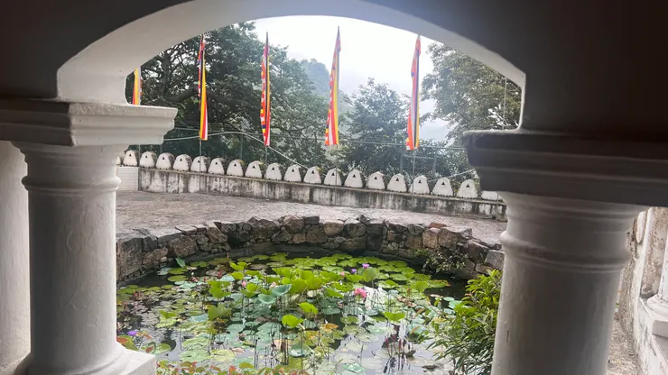 蓮花表示清淨的功德和清涼的智慧