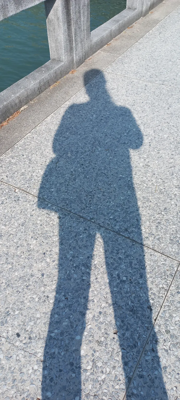 九曲橋上留「影」