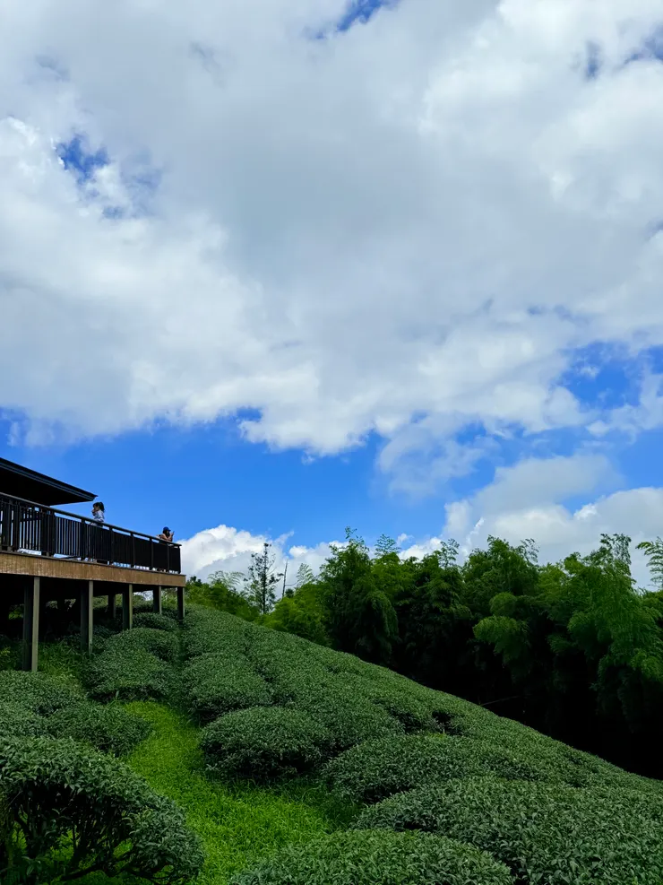 從涼亭可以俯瞰雲嘉平原