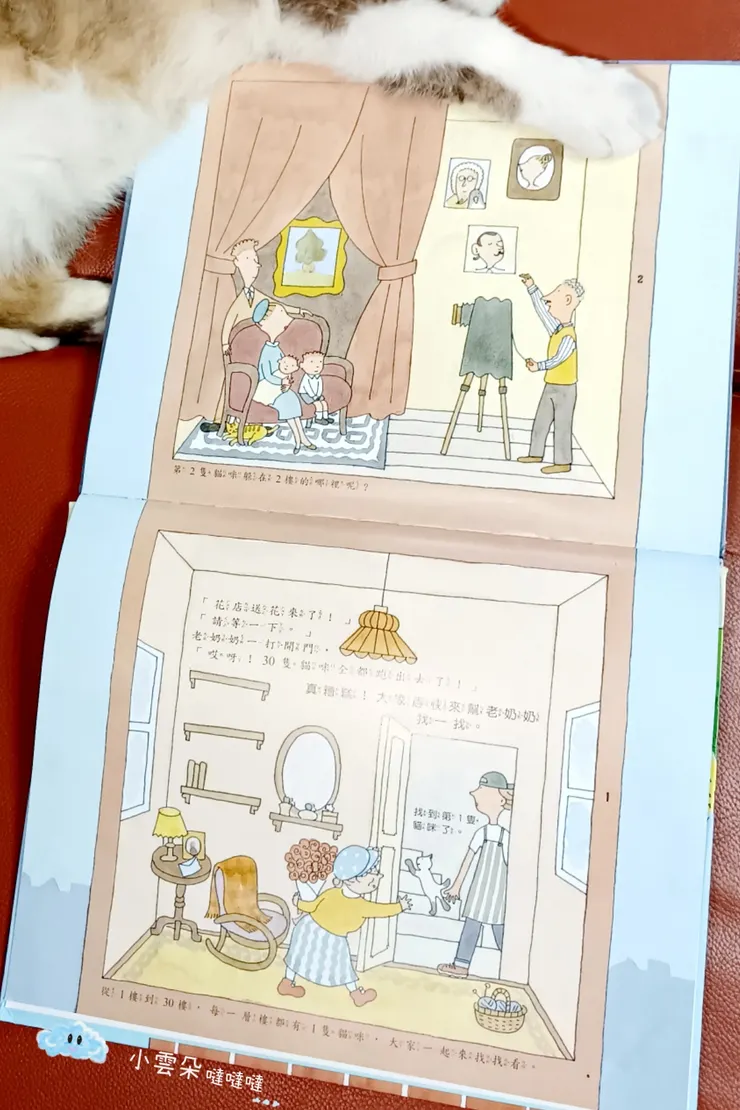 老奶奶一開門，貓咪全部跑出去了！