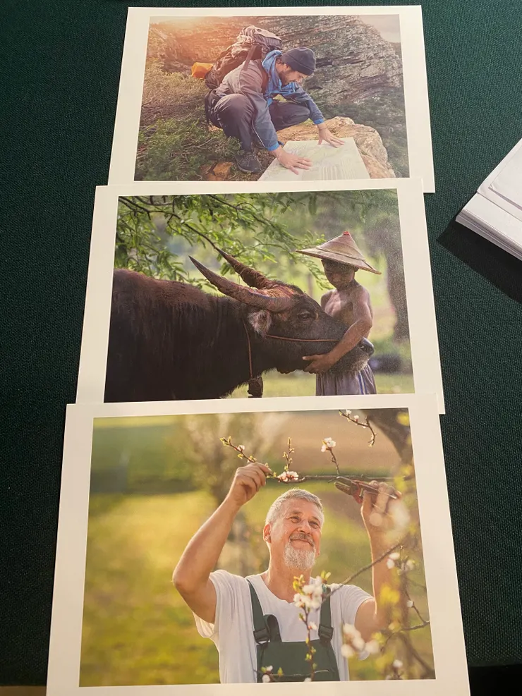 其中三張放在教室最後方的明信片。