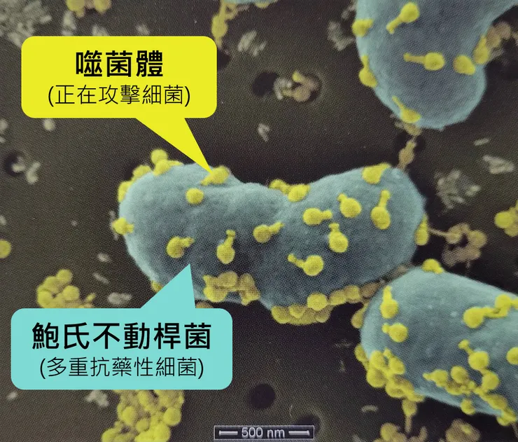 照片翻攝自本書,文字對話框是小昕加上去的說明。