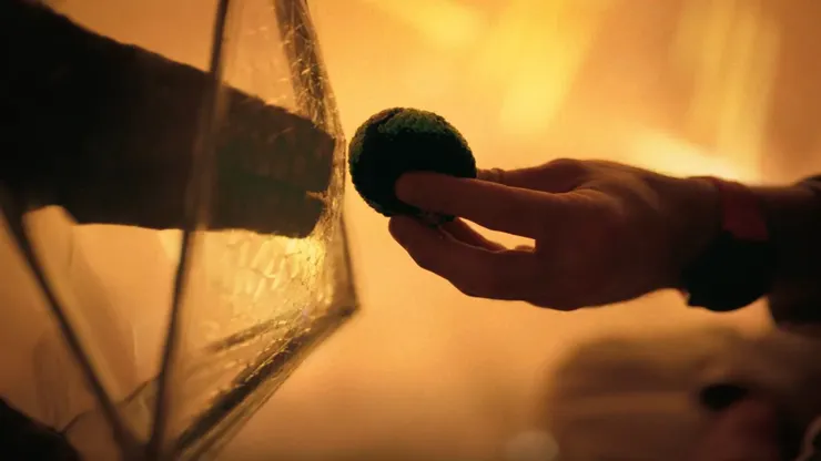 圖片來源：電影劇照(The Movie Database, TMDB)