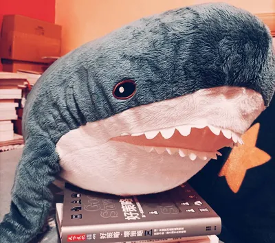 不老山姆的沙龍