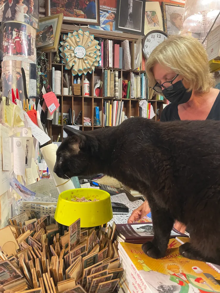 誰都無法逃過我的法眼～        加尼一起/攝