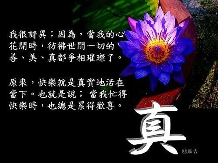 麻吉的圖文創作