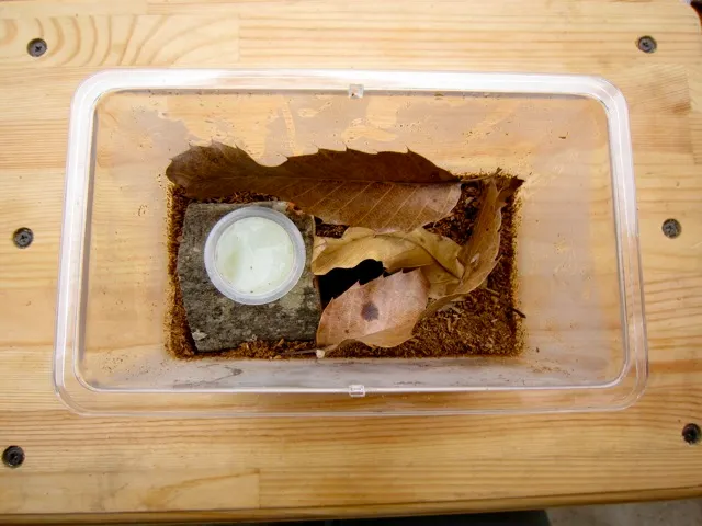 飼養環境布置參考