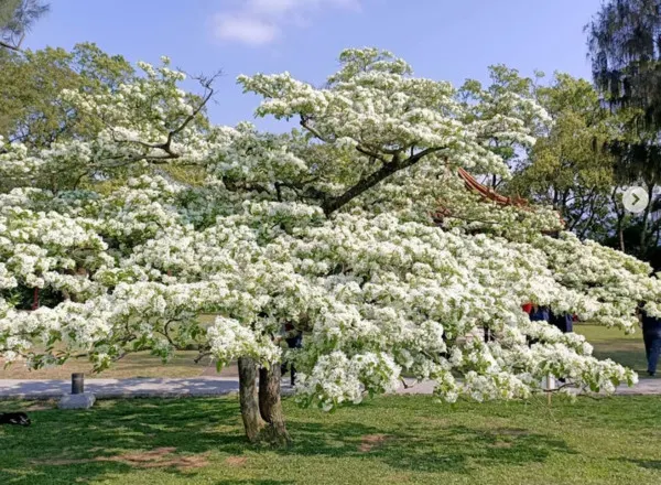 圖片來源：ETToday新聞雲
