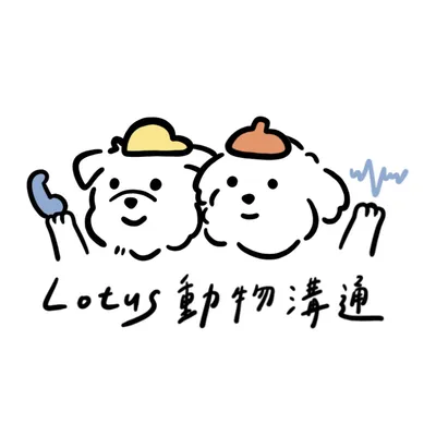 Lotus Chang的沙龍