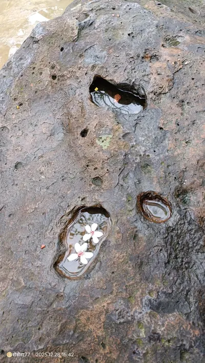 《Vox Rosenna | Page.3》