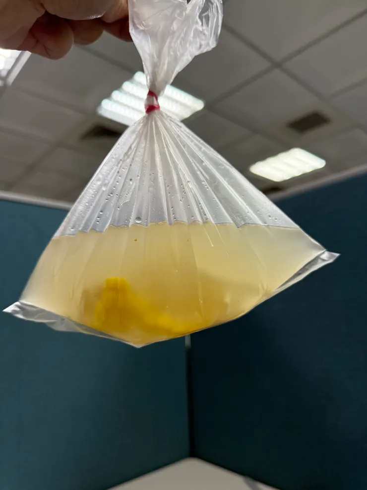 2025/11/06 玉米熬的湯