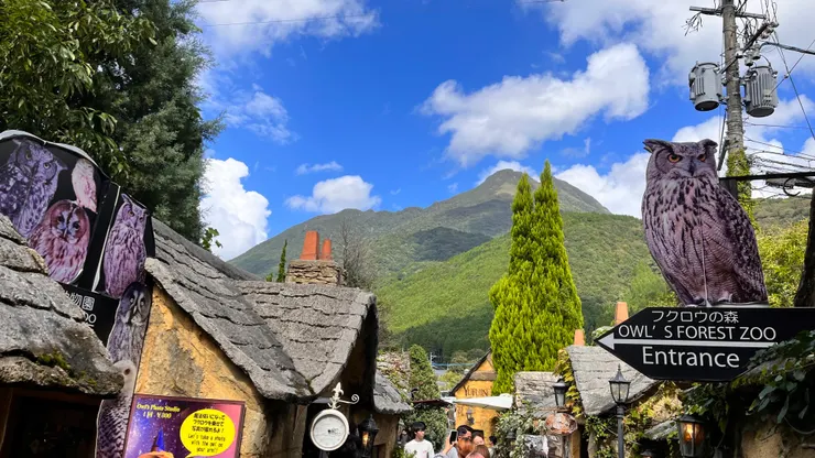 湯布院花卉村