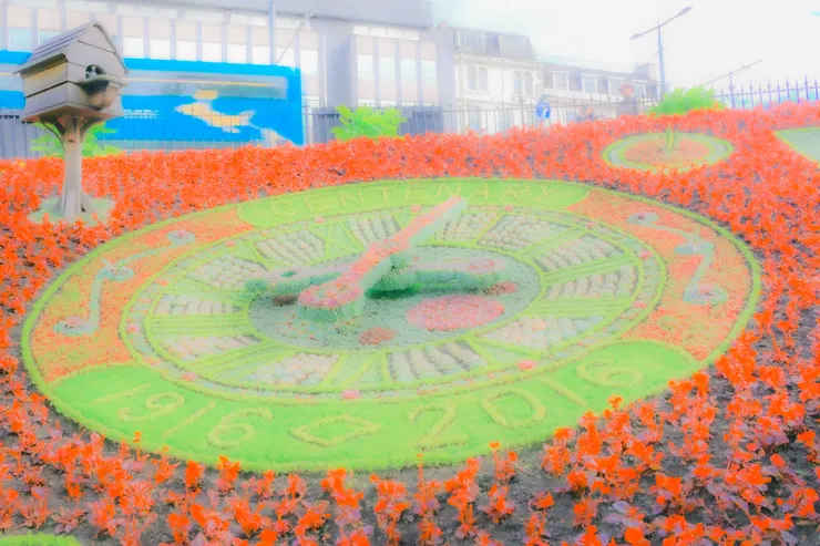 王子街公園中的花鐘一景
