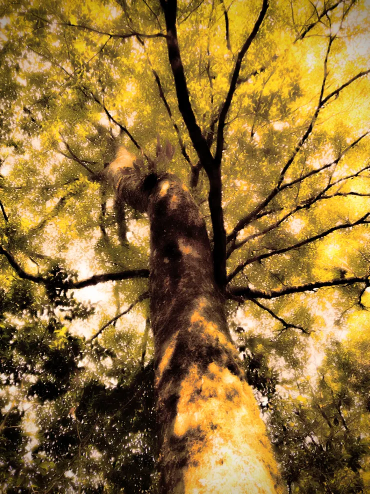 photoggrapher by Hsun