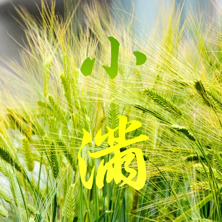 【節氣：小滿】