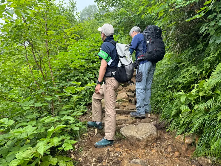 遇到「熊的專業研究者」，合十