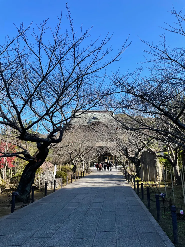 通往寺院也是走向自己的旅程