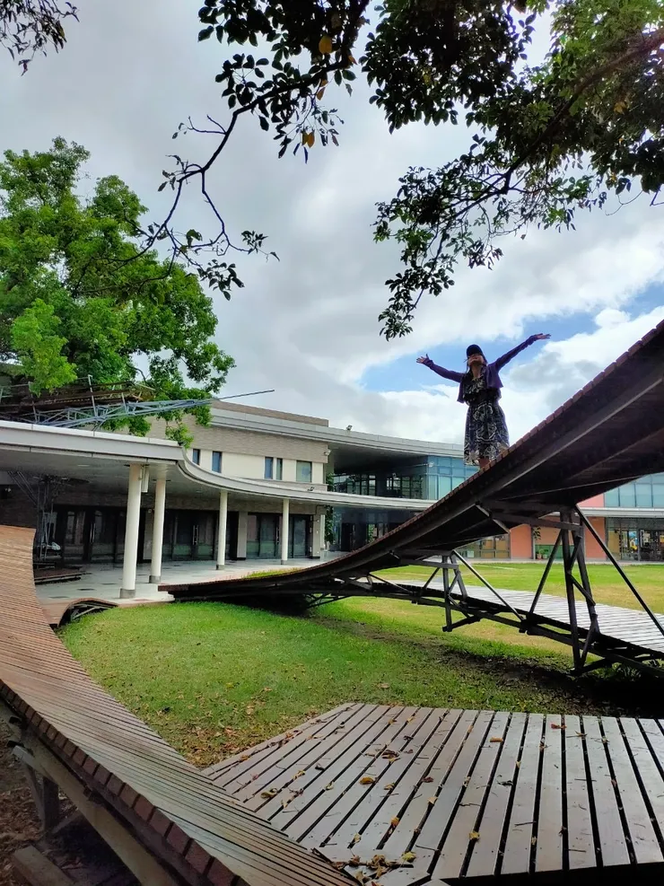 木板和大樹相連結