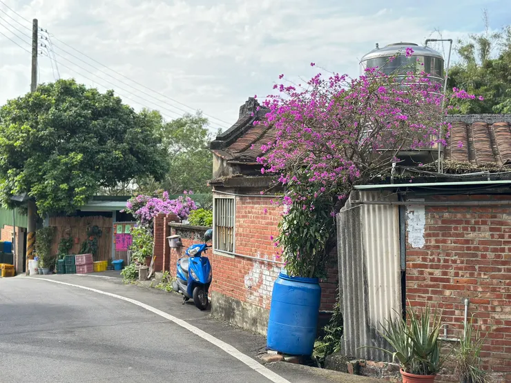 位於旱北路有許多世代相傳的柿餅店