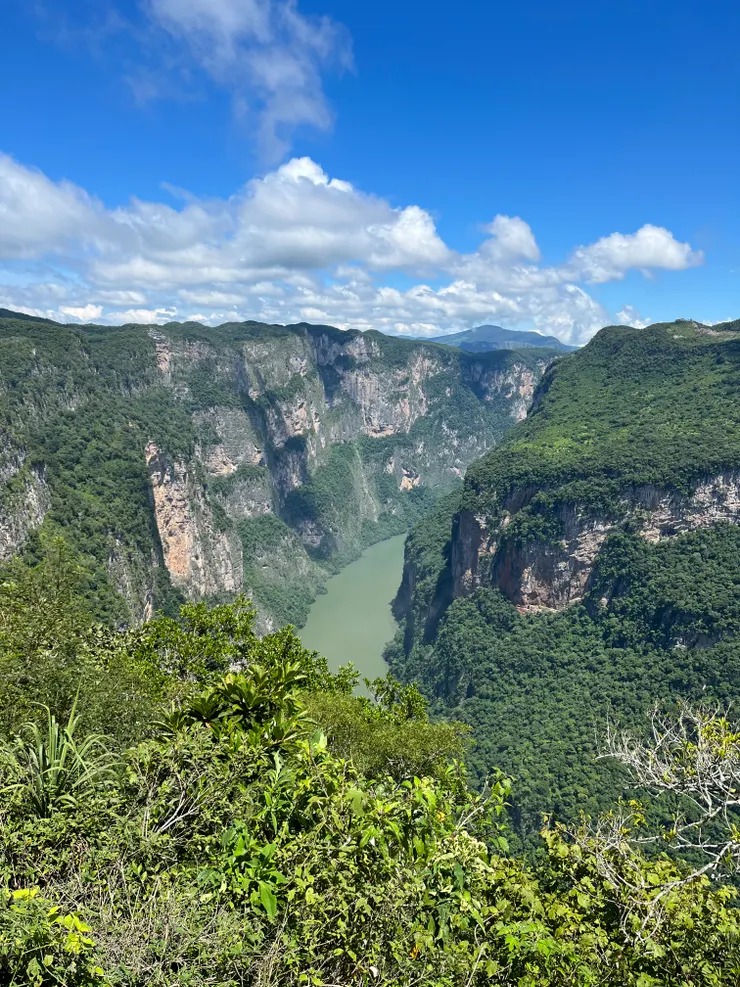 從上方觀景台看峽谷