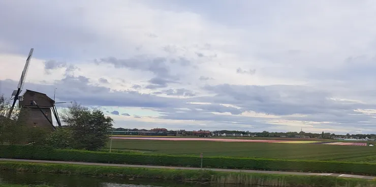 從鹿特丹搭一早的車去阿姆斯特丹..不巧坐到沿海路線 還因故要換車 耽誤了時間 但看好多鬱金香田