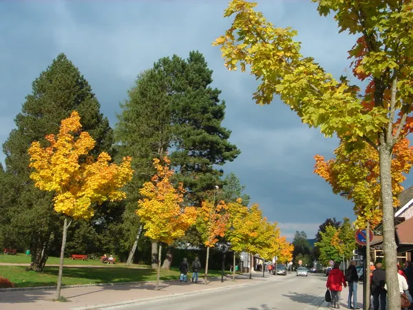 景色隨手一拍都像風景明信片