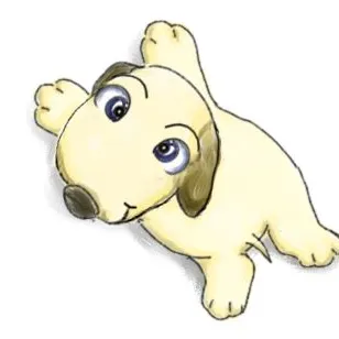 Richard Chan的沙龍